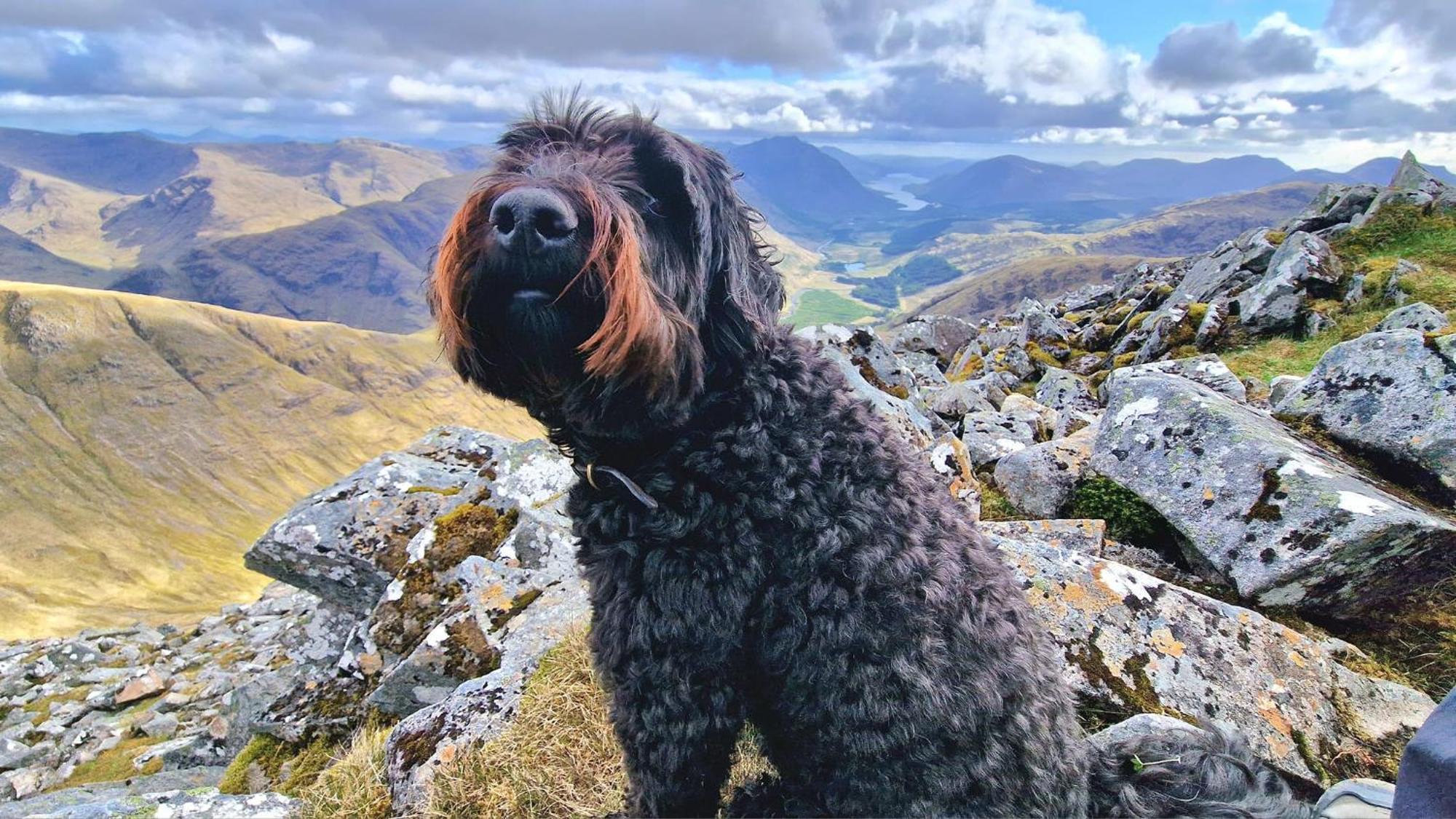 Bothan Creag Sobhrag Ballachulish Extérieur photo